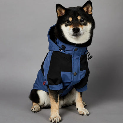 The Dog Face Raincoat