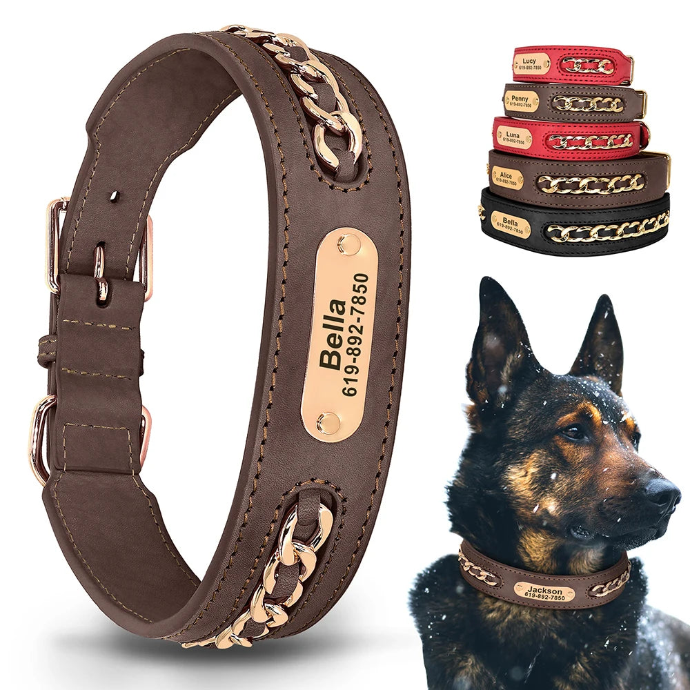 Custom Collar