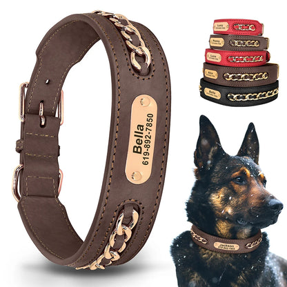 Custom Collar