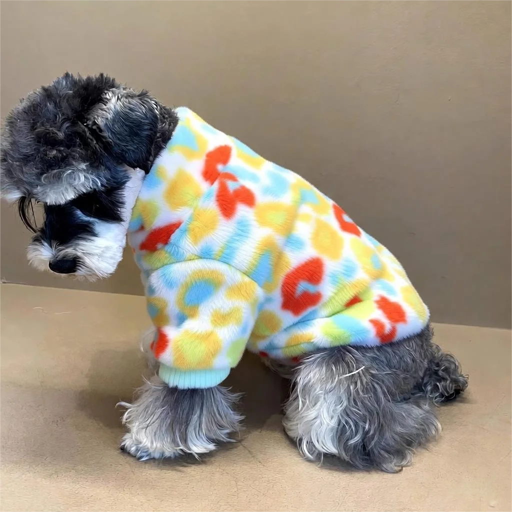 Colorful Zipper Jacket