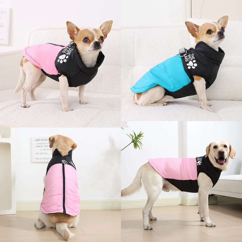 The Dog Face Coat