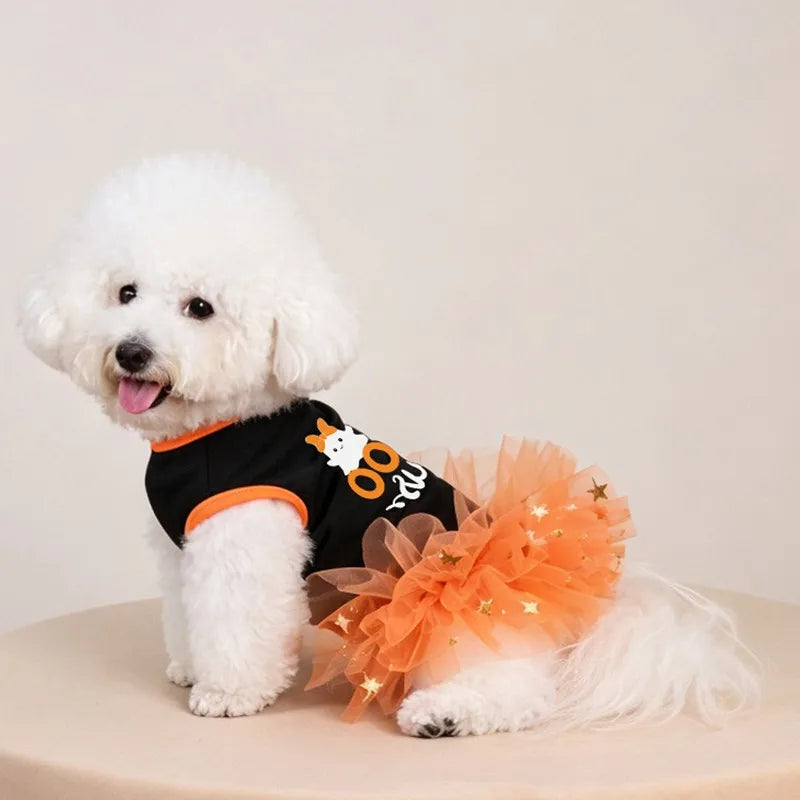 Pumpkin Lace Dress