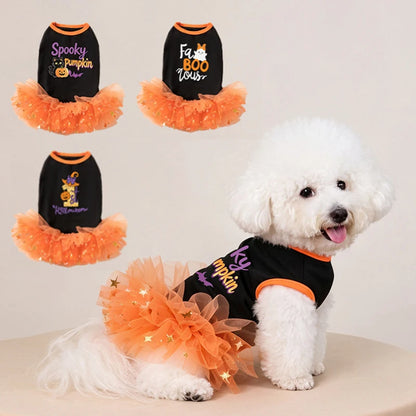Pumpkin Lace Dress