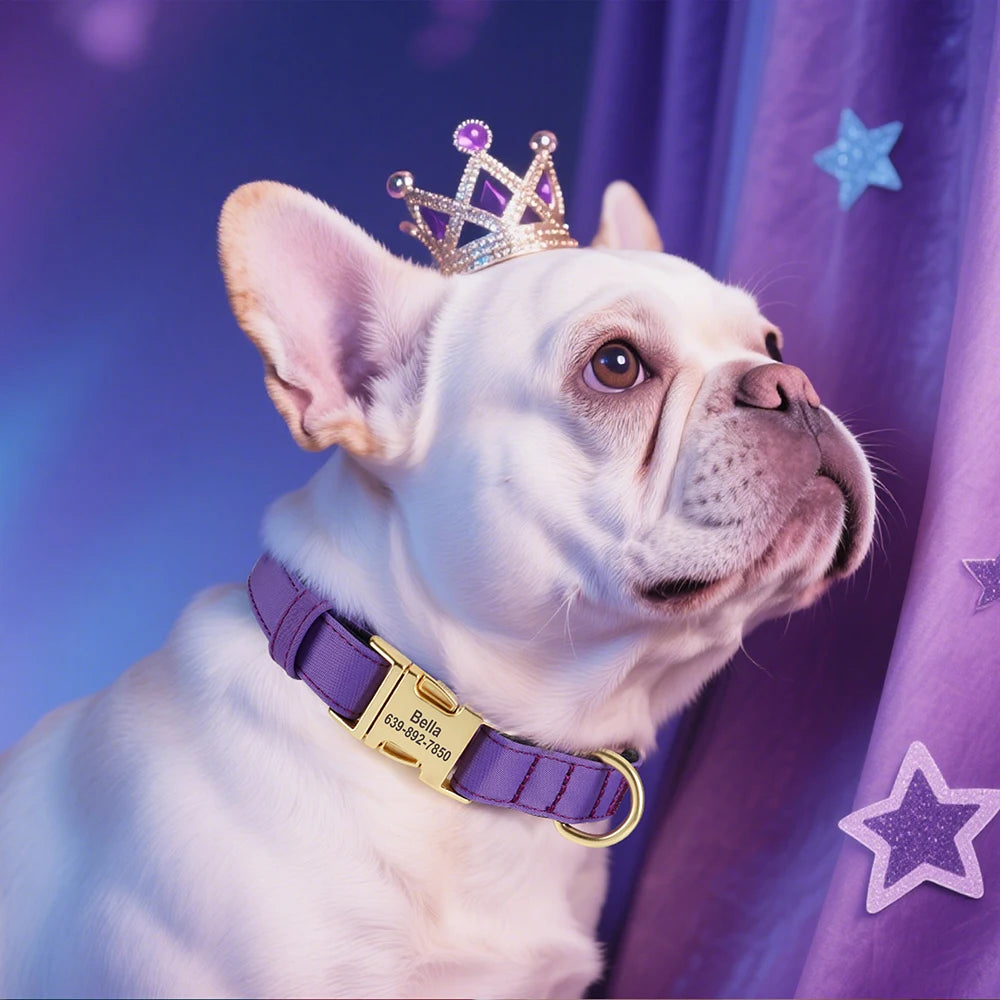 Personalized Nylon Collar
