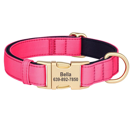 Personalized Nylon Collar