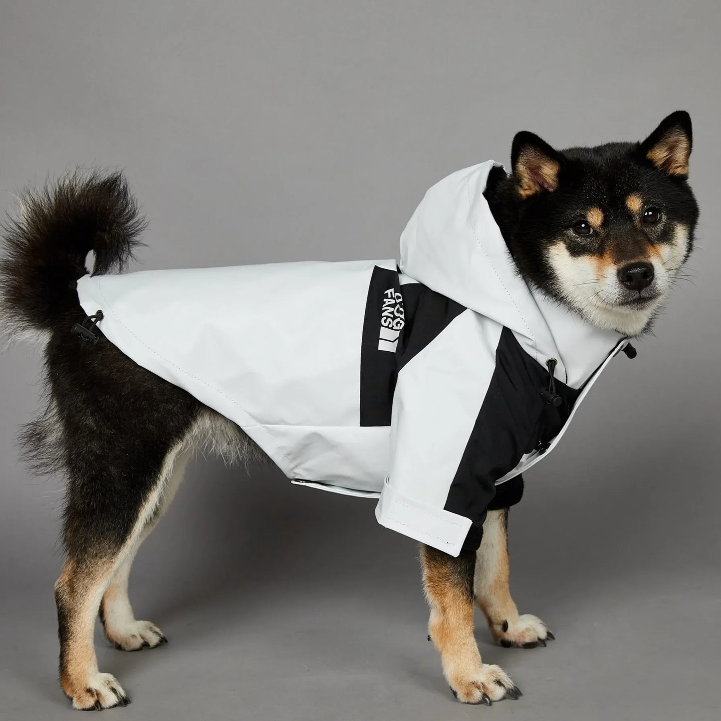 The Dog Face Raincoat