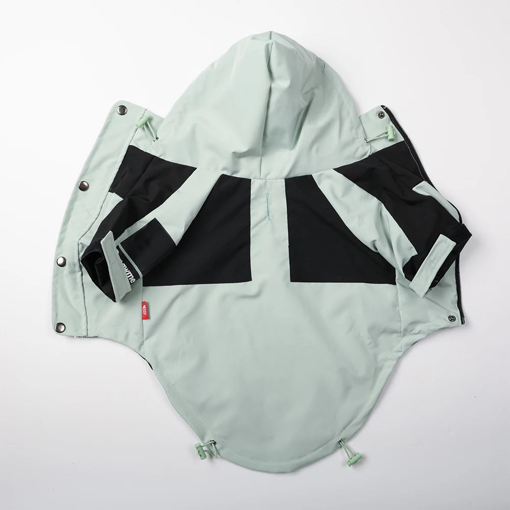 The Dog Face Raincoat