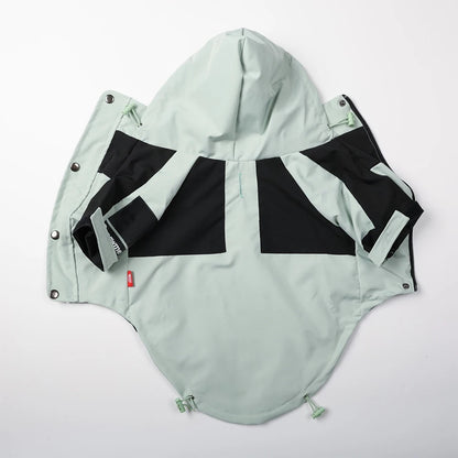 The Dog Face Raincoat