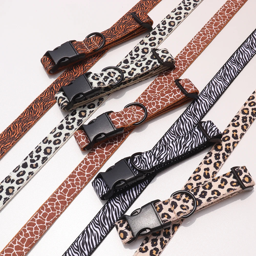 CustomCollar & Leash