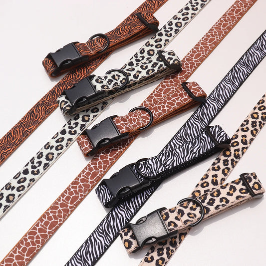 CustomCollar & Leash