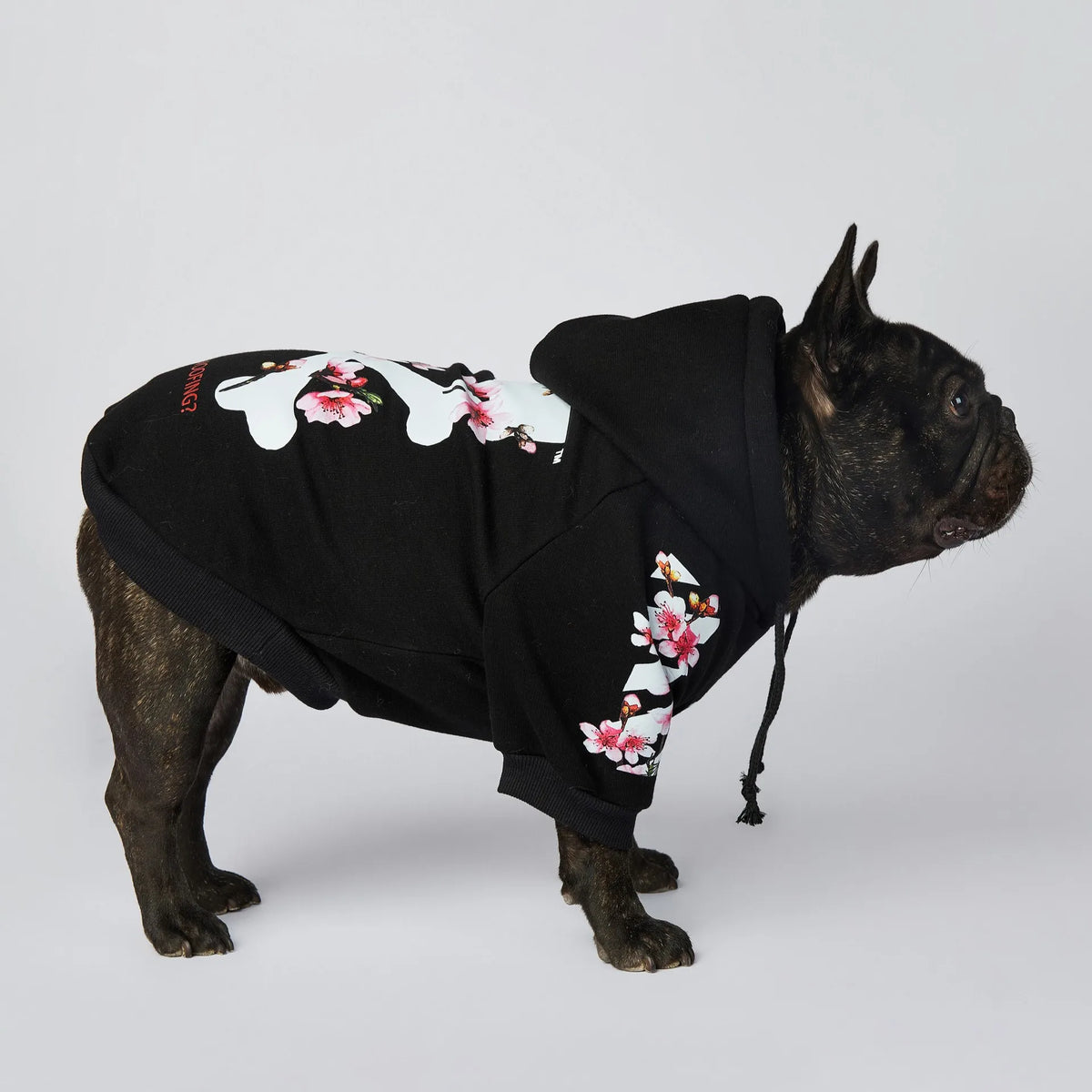 Woof Hoodie