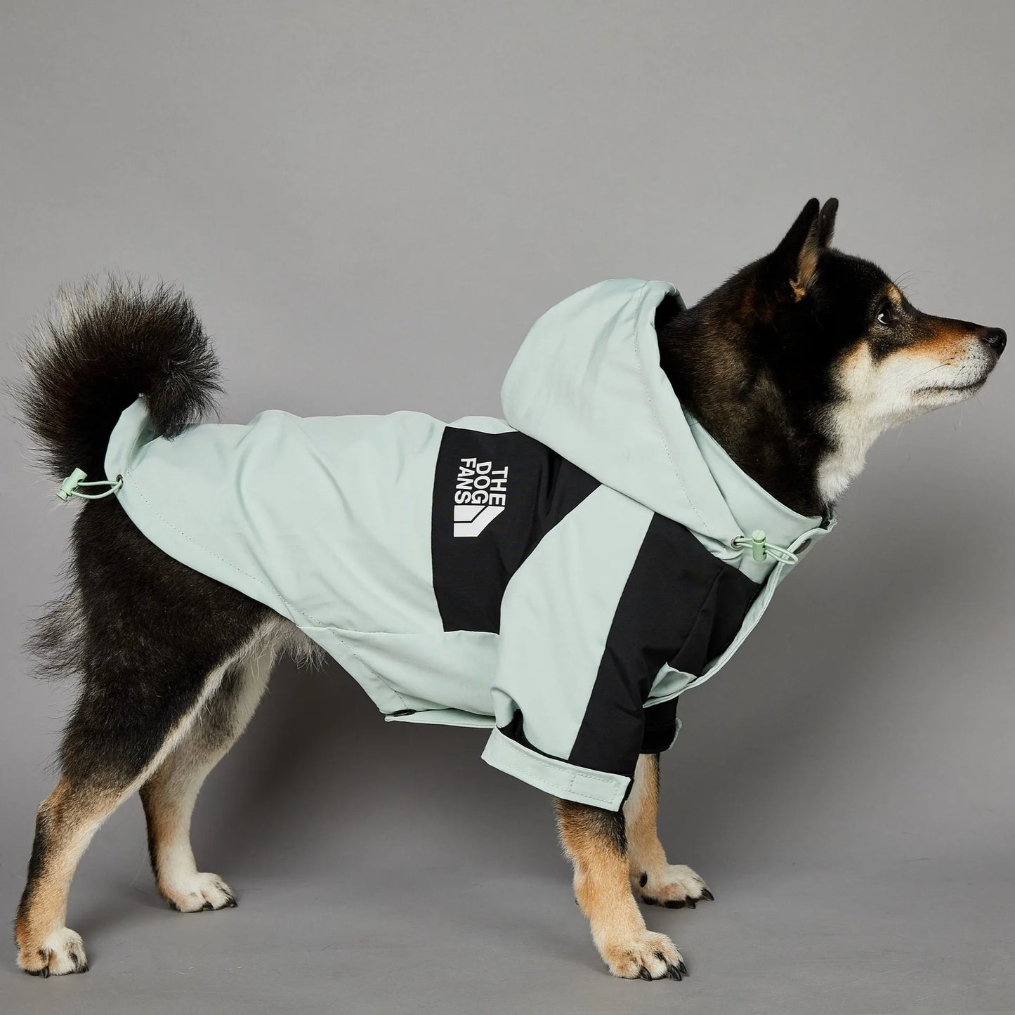 The Dog Face Raincoat