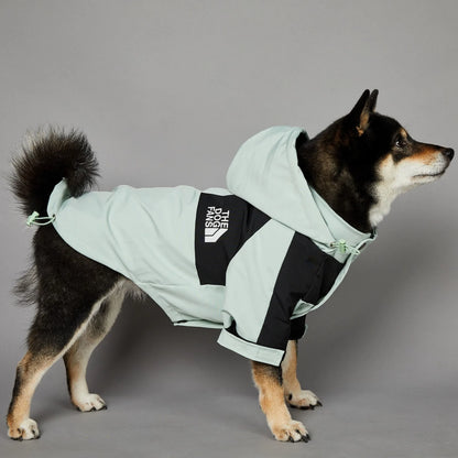The Dog Face Raincoat