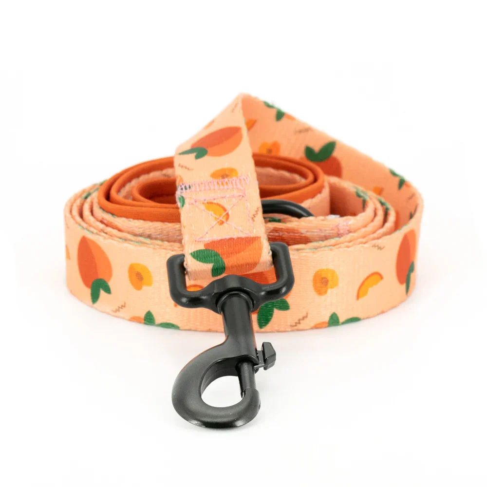 47874016674139|47874016739675|47874016805211|47874016870747