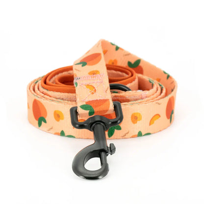 47874016674139|47874016739675|47874016805211|47874016870747