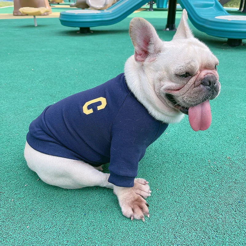 Matching Human And Dog Outfit