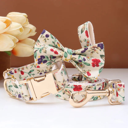 Custom Collar & Leash