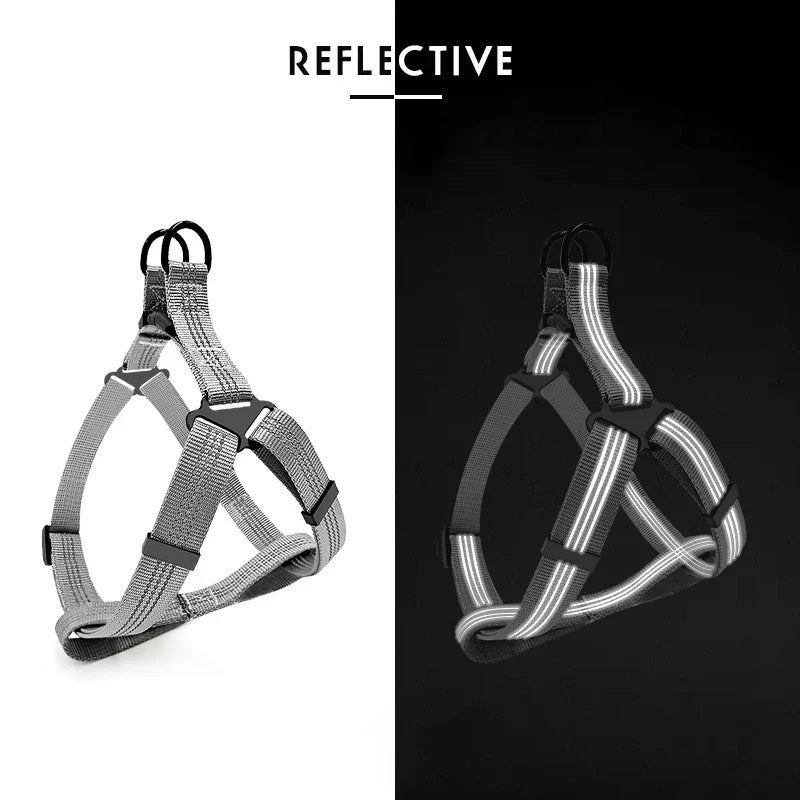 Reflective Harness