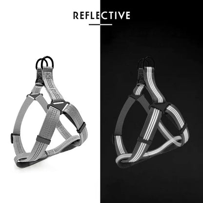 Reflective Harness