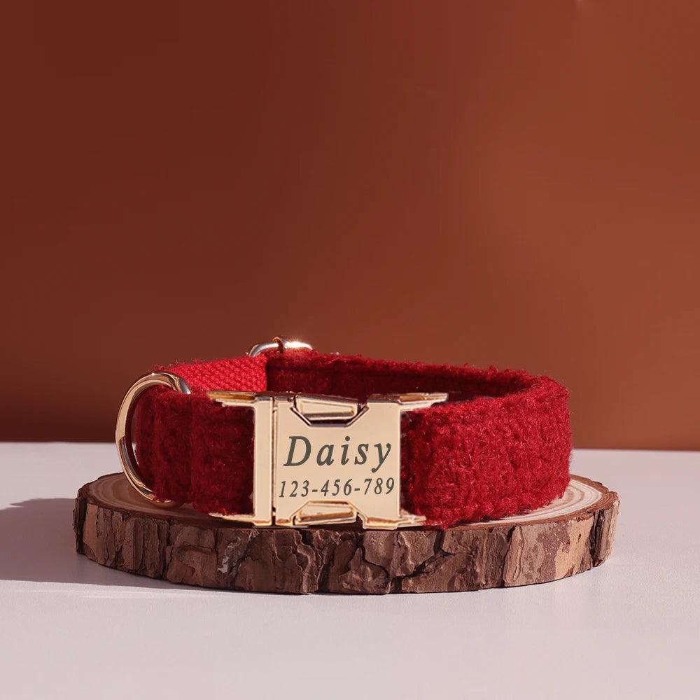 Teddy Collar