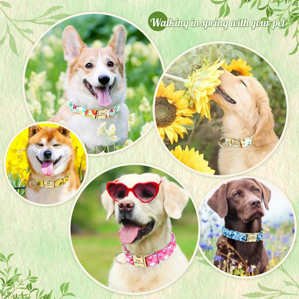 Personalized Flower Collar