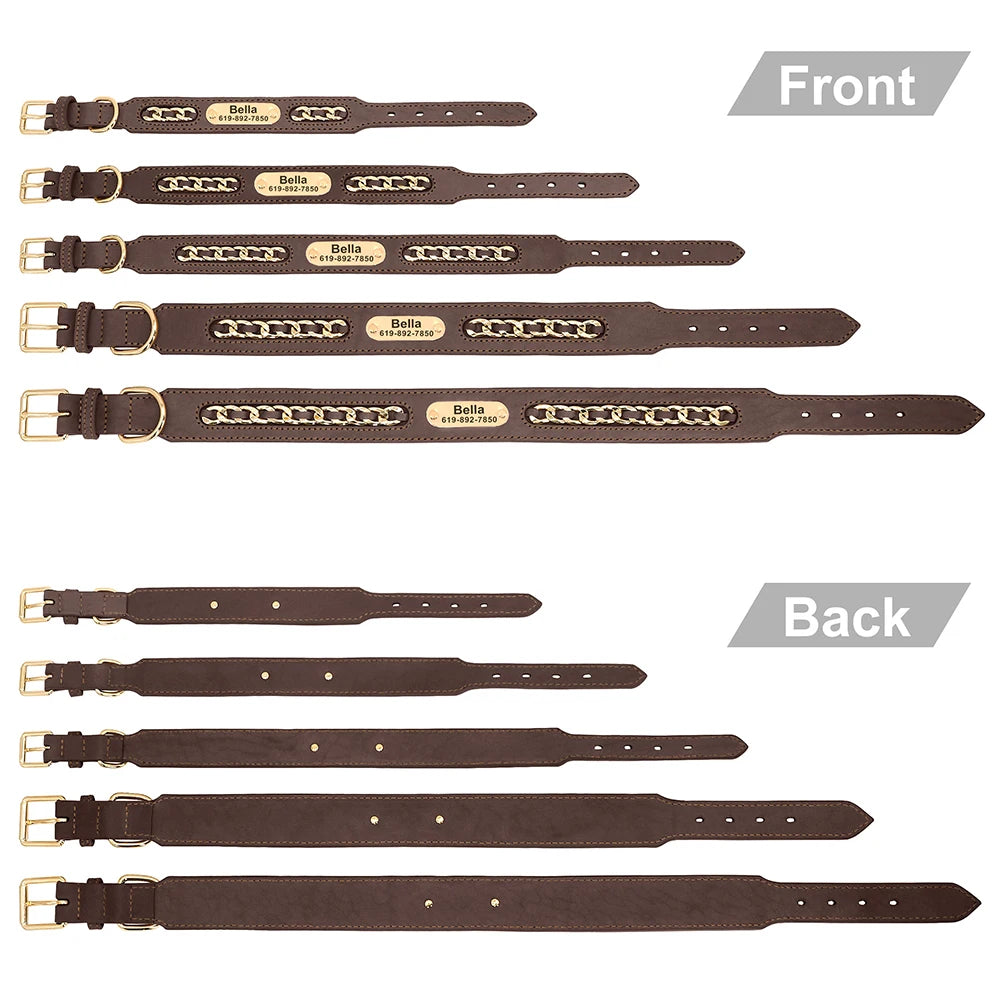 Custom Collar