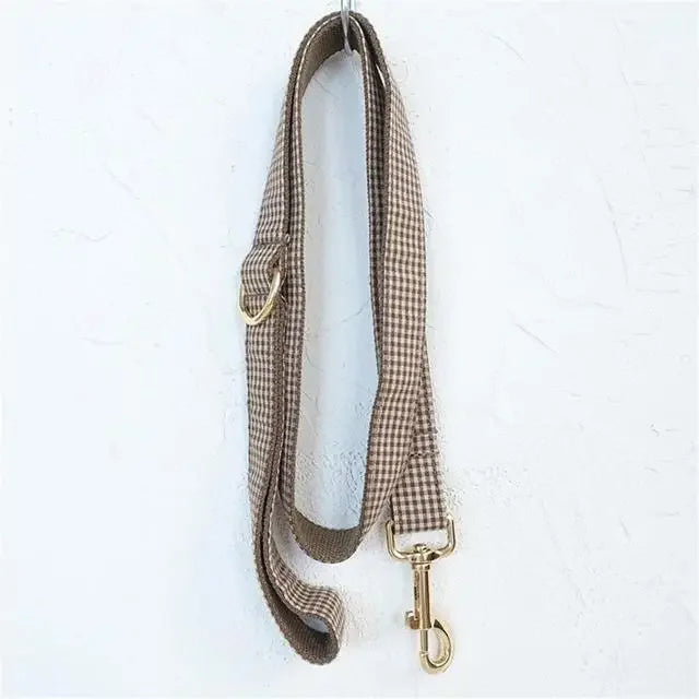 Personalized Collar & Leash