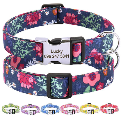 Personalized Collar