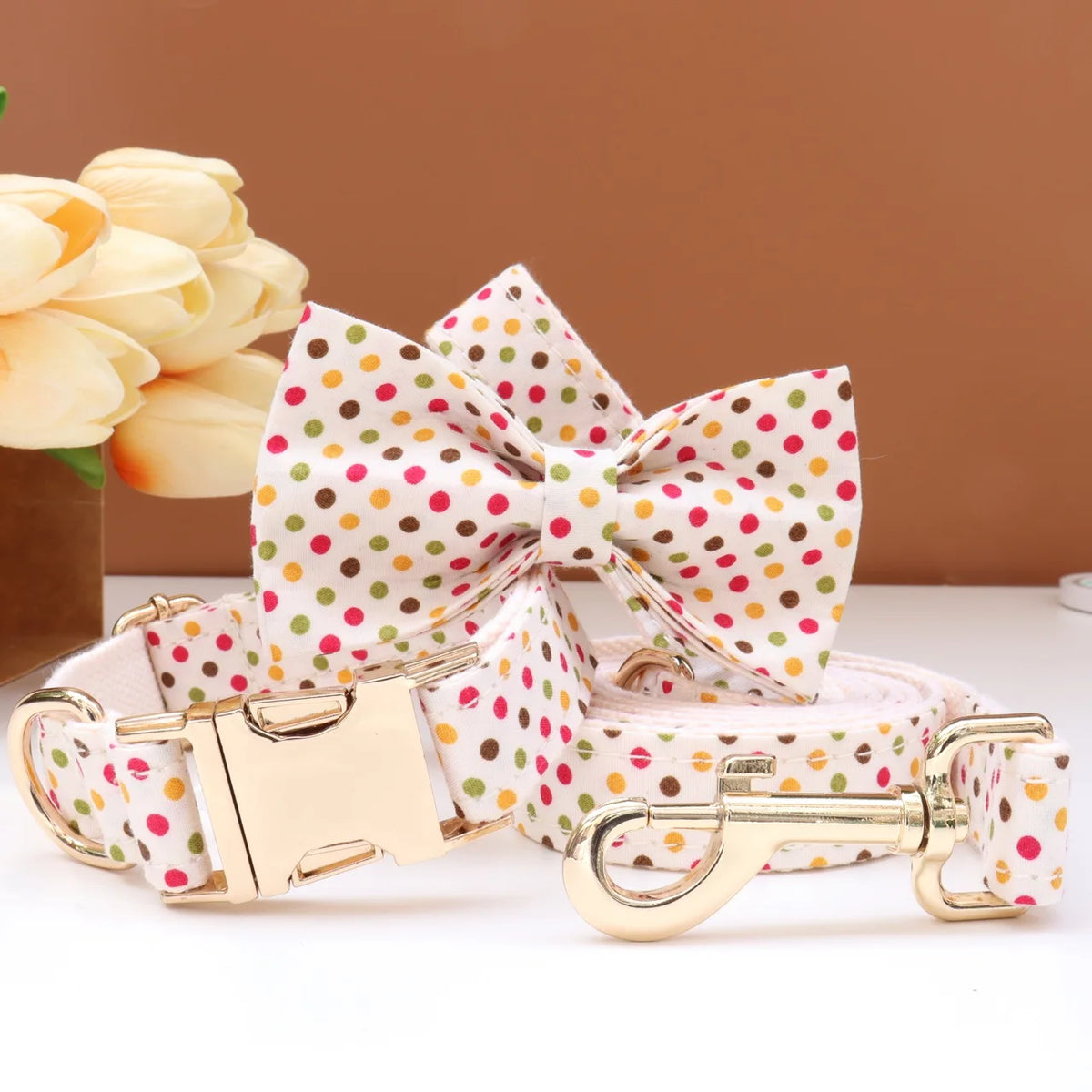 Custom Collar & Leash