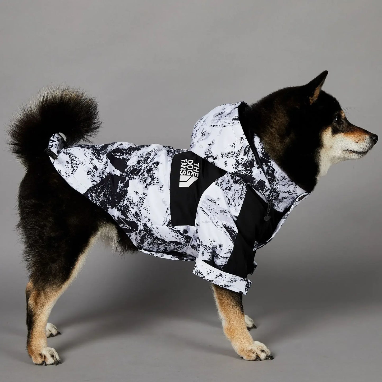The Dog Face Raincoat