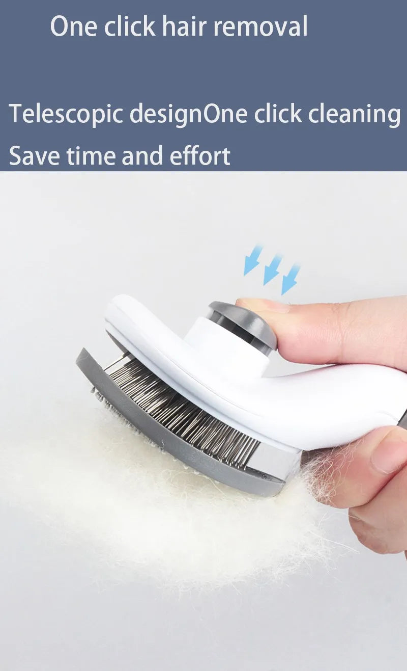 Hair Remover Brush