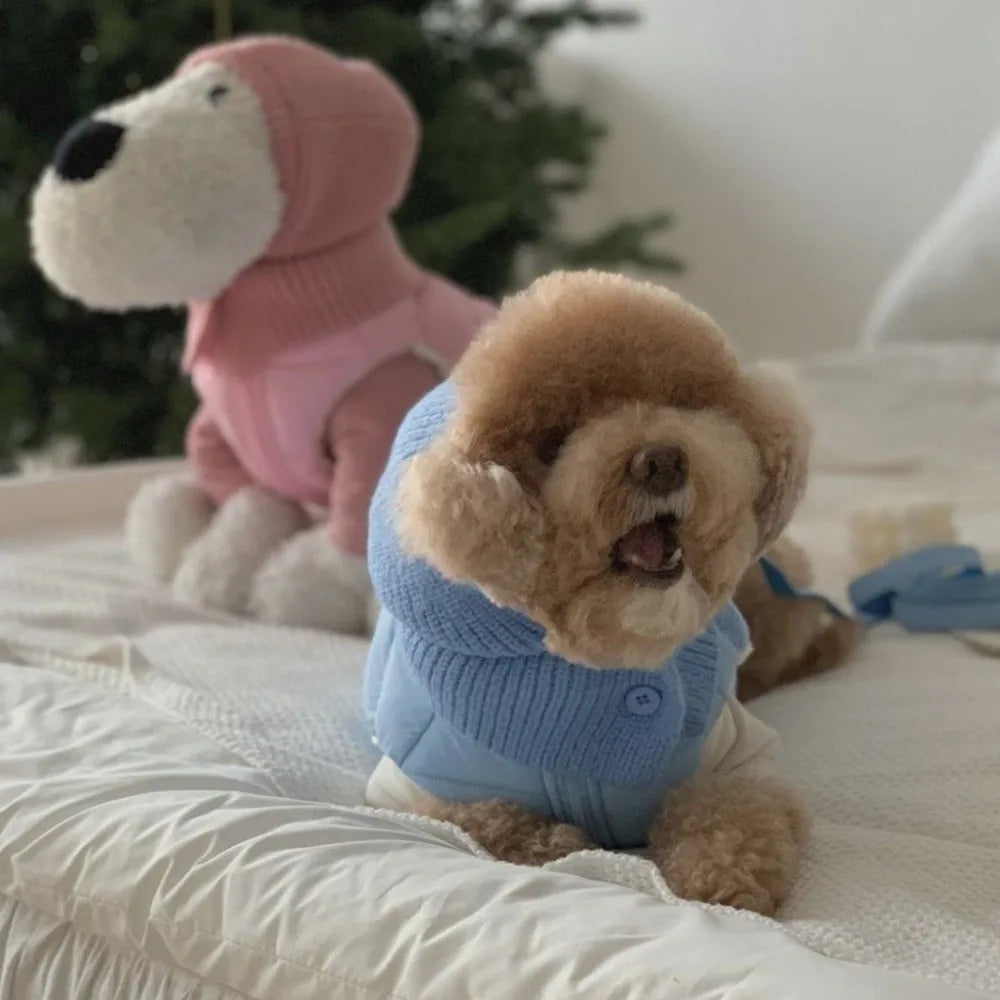 Cozy Bear Hat