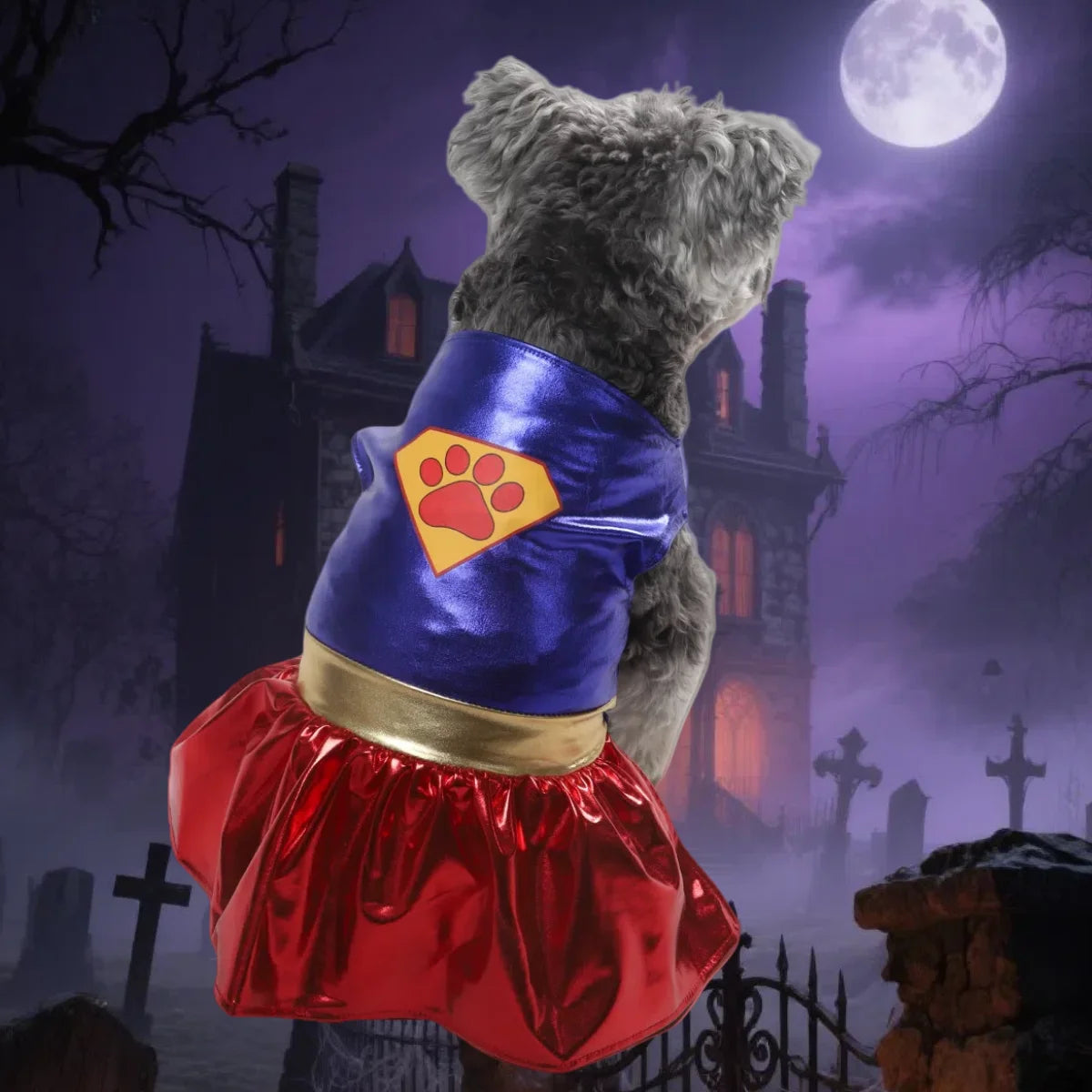 Halloween Dress