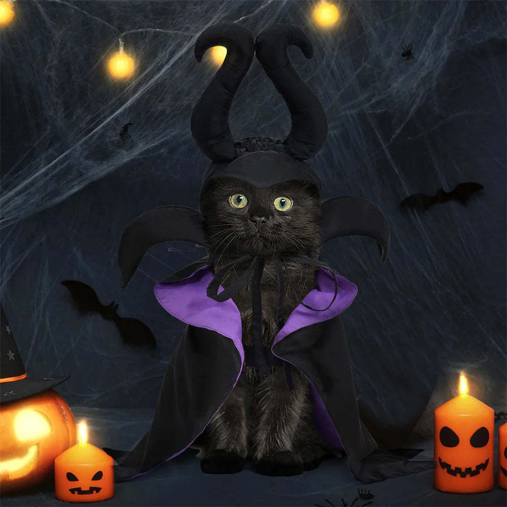 Maleficent Costume