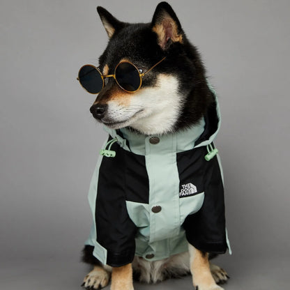 The Dog Face Raincoat