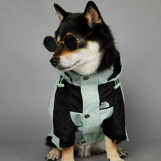 The Dog Face Raincoat