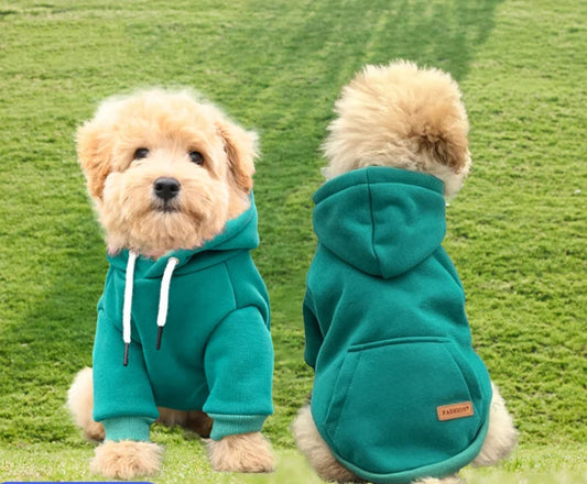 Hoodie Vest