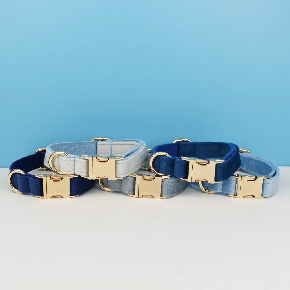 Luxury Leash & Collar