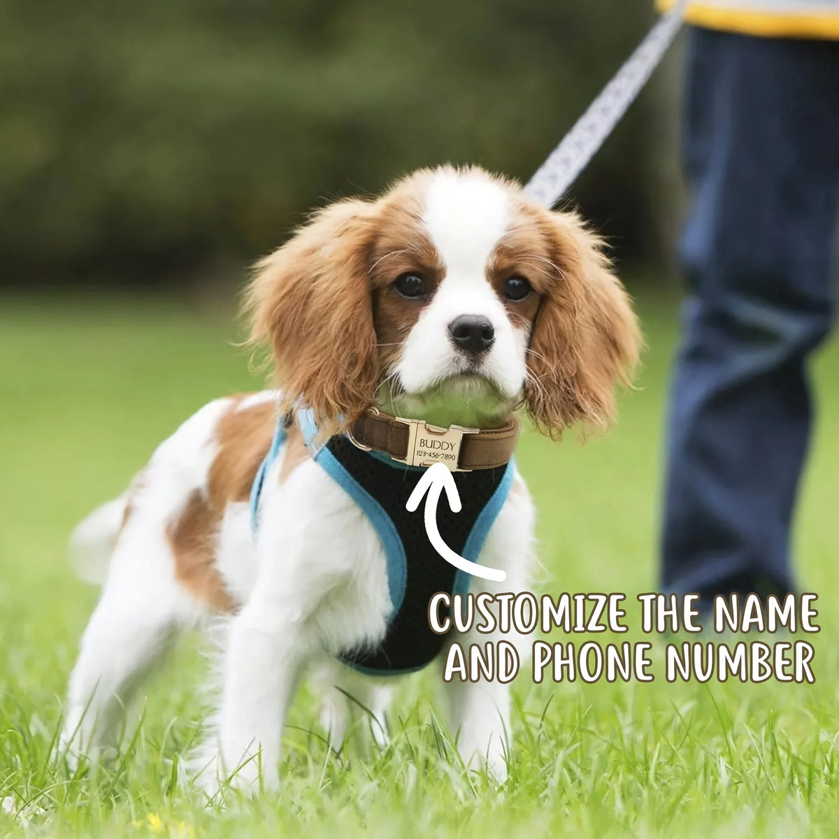 Personalized Collar