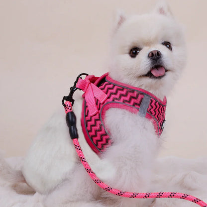 Striped Harness