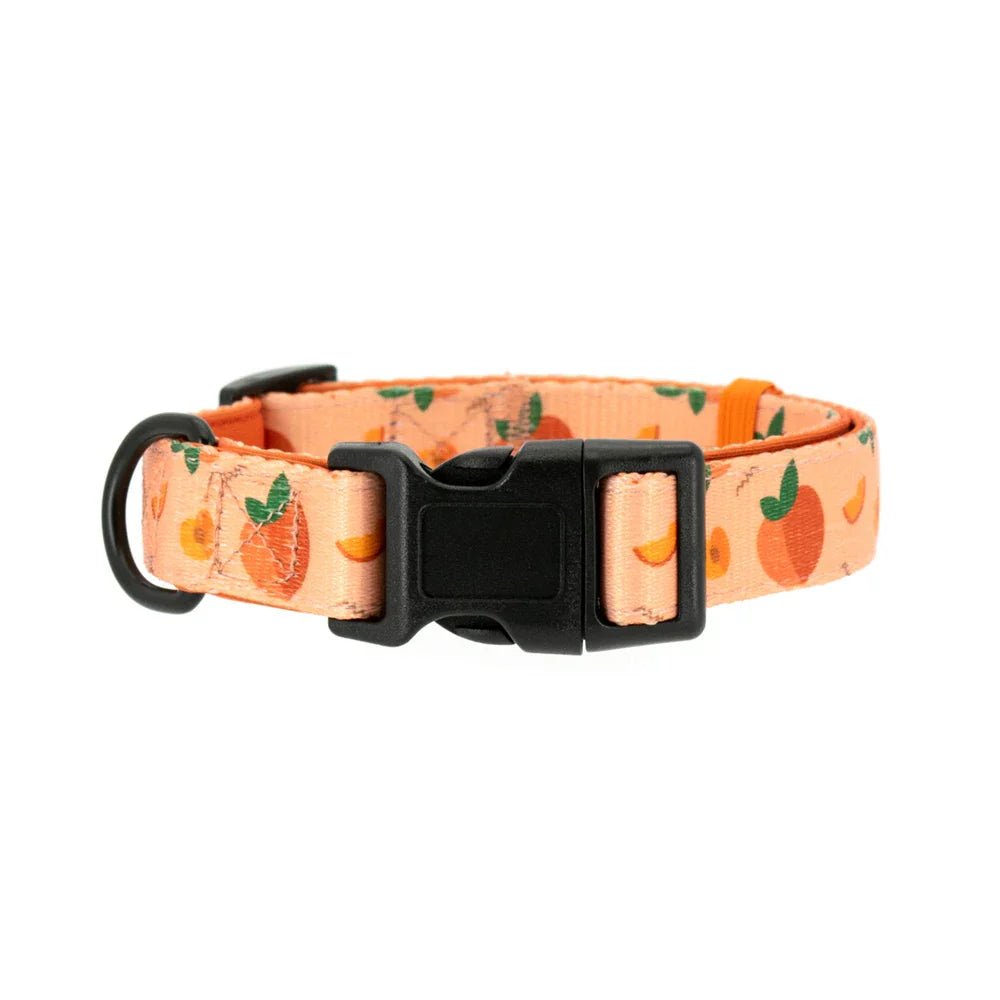 47874015854939|47874015920475|47874015986011|47874016936283