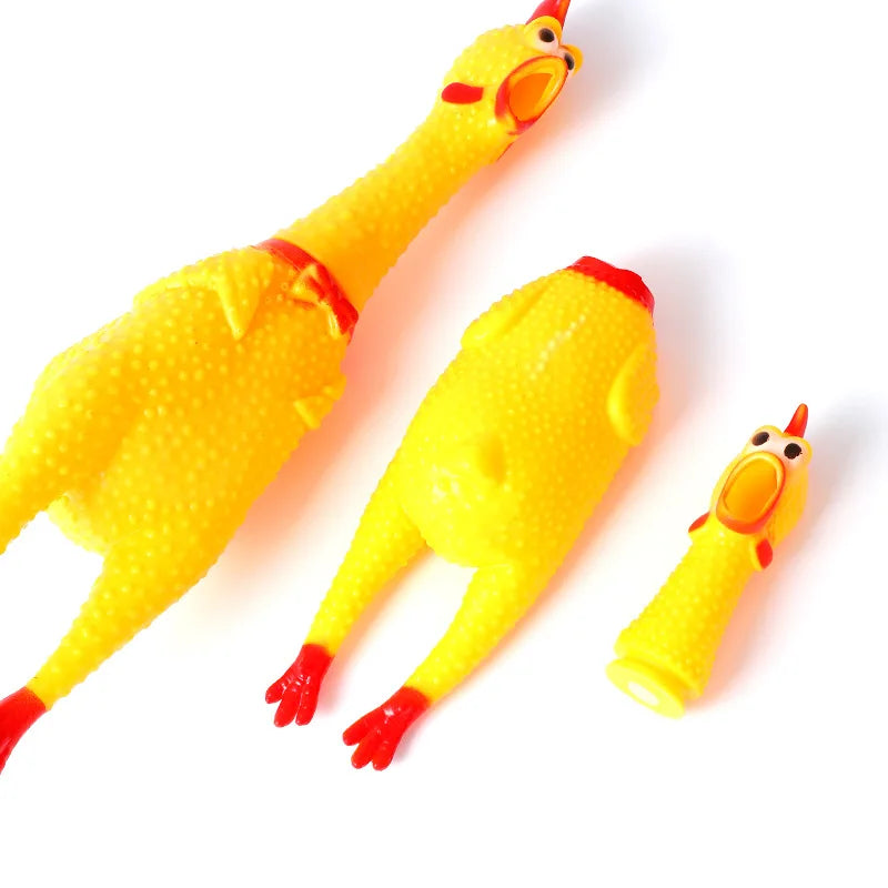 Chicken Toy