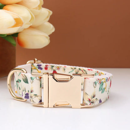 Custom Collar & Leash