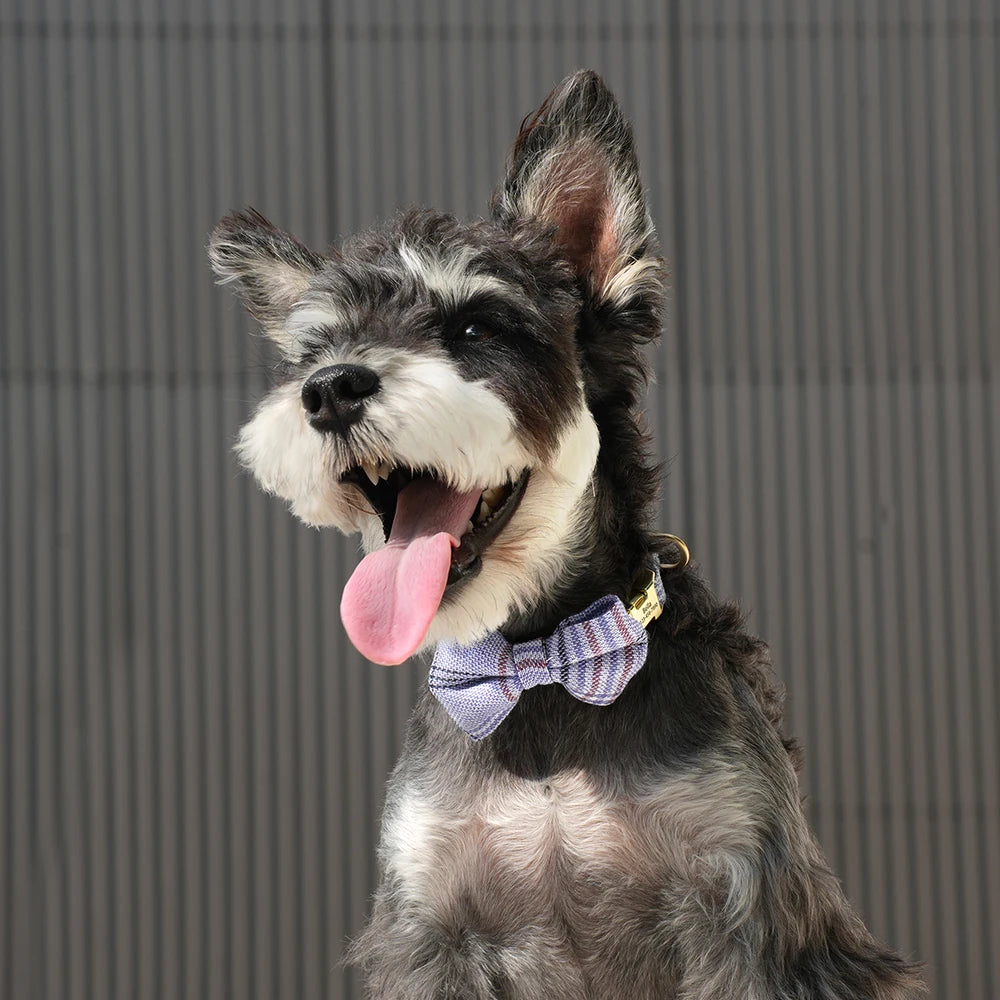 Bow Collar