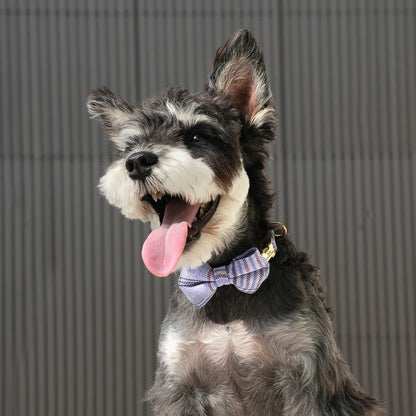 Bow Collar