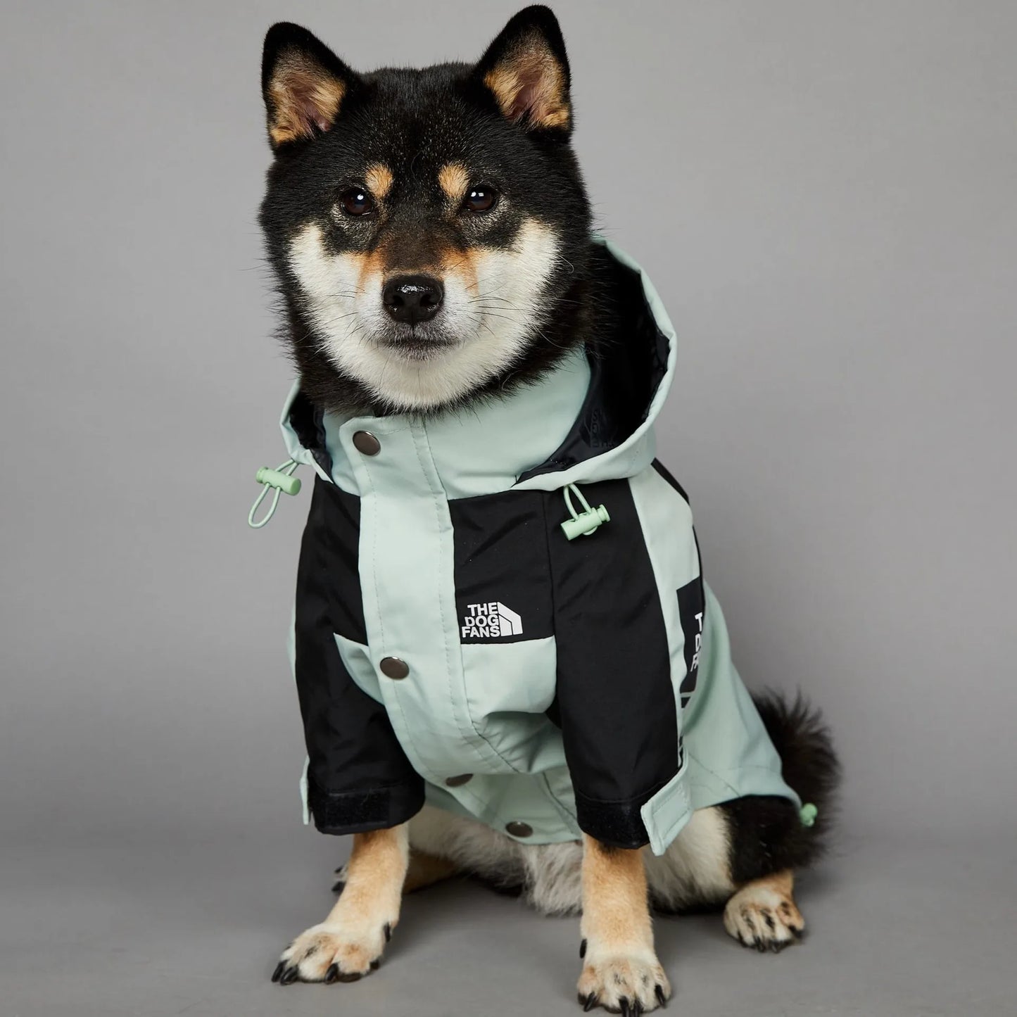The Dog Face Raincoat