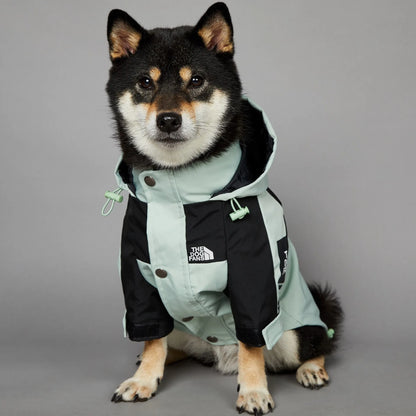 The Dog Face Raincoat