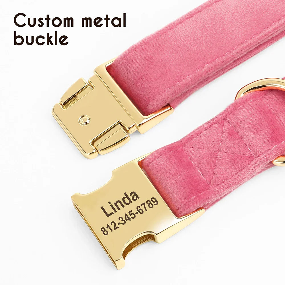 Custom Collar