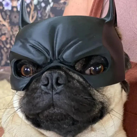 Bat Hero Mask