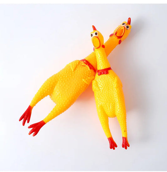 Chicken Toy